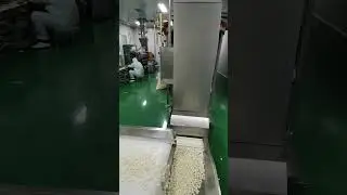 Customizable puffed food production line in various shapes#foodmachine #foodprocessingequipment