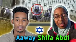 Daawo : Gabadhii Somaliyed Shifa Abdi Wali Ma Xirantahay ?
