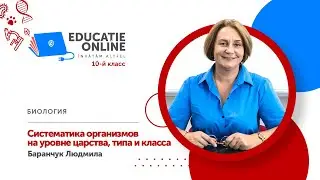 Биология, 10-й класс, Систематика организмов на уровне царства, типа и класса