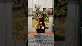 Making A Black Lab Custom Metal Print