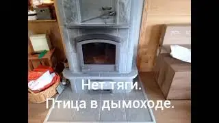 Нет тяги.Птица в дымоходе.Дым идет в дом.