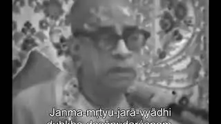 Prabhupada 0977 - This Material Body is Cut According to Our Spiritual Body