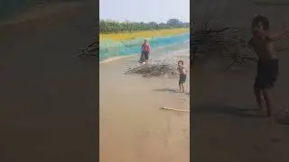 গ্রামীণ পরিবেশে ঘেরে মাছ ধরা!!!!#fishing #fish #food #foryou # মাছ #catch #catchfishtechnique #ঘের