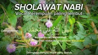 Sholawat paling menenangkan hati gelisah hilang seketika mengingatkan kita pada seseorang
