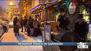Reindeer ranch in Garrison brings Christmas magic to community