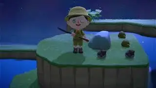 ACNH Tarantula Hunting (Random Island)