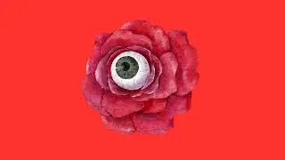 [FREE] Freestyle Type Beat - [ SPY ] l Free Type Beat 2024 l Rap Trap Instrumental