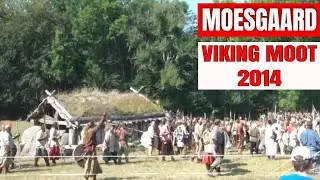 Moesgaard Viking Moot - 2014