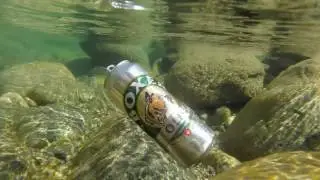 Dog boxer beer propagand for beer suisse 2016