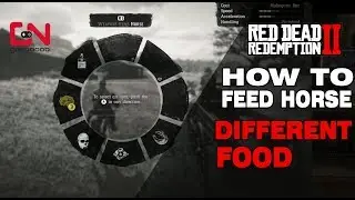 Red Dead Redemption 2 How to feed horse different food