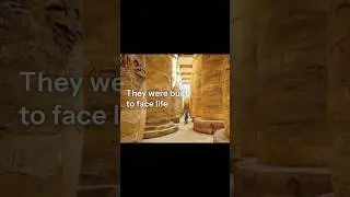 Why did our ancestors construct buildings? #historyshorts #historyofarchitecture