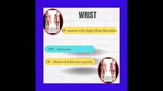 Wrist's Capsular Pattern, Resting Position & Closed Packed Position|A Therapist Guide (full)