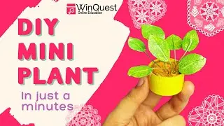 🌿✨ DIY Mini Plant | Easy Craft for Kids | Winquest Online