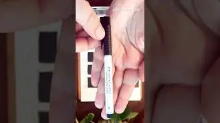 Testing white Faber-Castell PITT artist brush pen🖌️#watercolor#doodleart#review #swatch#lineandwash