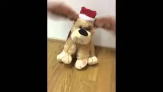 Frohe Weihnacht!