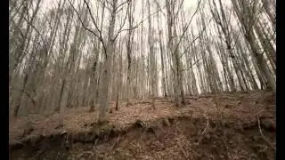 Το μονοπάτι της ζωής - Χαΐνηδες