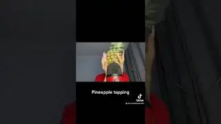 ASMR Pineapple tapping & scratches! #asmr #shorts #shortsfeed #scratching #tappingasmr