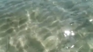 🎼RR - Mondello Beach Chill Video [Psychedelic / Psybient / Downtempo Music Mix]