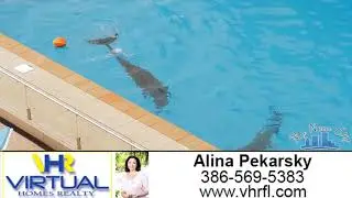 Video of Flagler County, FL  Alina Pekarsky, RE Broker