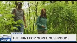 Spectrum News 1 Exploring Ohio Mushroom Hunting
