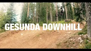 Gesunda Downhill (4K EDIT)