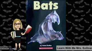 Bats.  A Sight Word Reader
