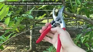 Eden Adjustable Bypass Pruning Shears
