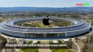 Apple Headquarters-৫ বিলিয়ন ডলারের &lsquo;Spaceship&rsquo; অফিস! Steve Jobs- All Facts About Apple Park-Morumoy