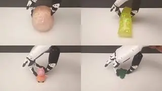 Learning Adaptive Grasping from Few Demonstrations using Temporal State Feedback