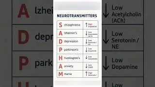 Neurotransmitters