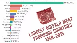 Largest Buffalo Meat Producing Countries in the World 1960-2019