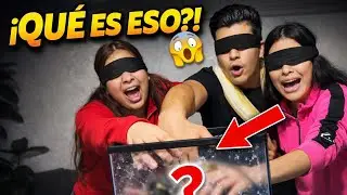 ¿Te atreverías? Tocamos animales sin verlos 🐢🦎😱