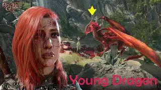 Dragon Age 6 - Kill the Young Dragon (Baldur's Gate 3)