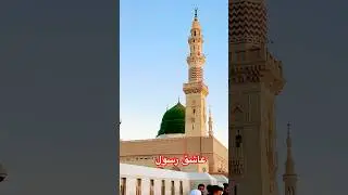 Ghulam hi Ghulam hy ashiq Rasool hy#foryou #ytbshorts #foryou #viralvideo #shorts #madina #s #iran
