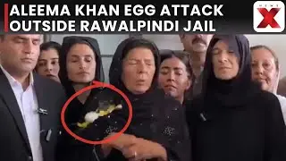Aleema Khan Attacked With Egg Outside Rawalpindi Jail, PTI Supporters Apprehend Suspects