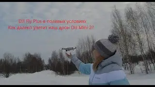 DJI MINI 2 Тест на дальность в приложении DJI Fly Plus в полевых условиях