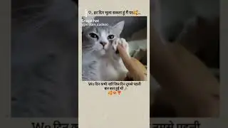 Bestie's First Meeting Best Memories