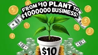 The Secret $10 Plant Business Idea to Earn $100K