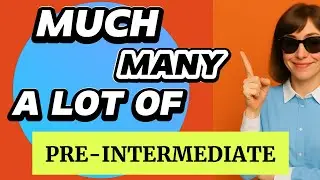 Much vs Many vs A Lot Of | A2 English Grammar Practise (New Year Theme)