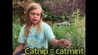 Botany For Kids - [Episode 18] A Hint of Mint