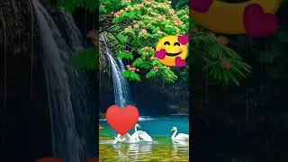 #song for fresh 🥰🥰🥰 mind and feel this song 💞😍😍💕