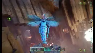 Killed the DoDo Wyvern