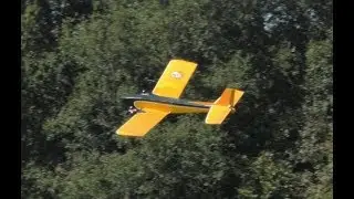S. M. A. L. L.  2019...Thomas' .020- powered Goldberg JR Skylark Twin