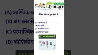 Bio Quest #2 Mastering NEET | NDA | BIHAR BOARD #wifisuccessclasses | Biology Q&A Sessions #biology