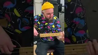 Vintage StingRay + Studio DI