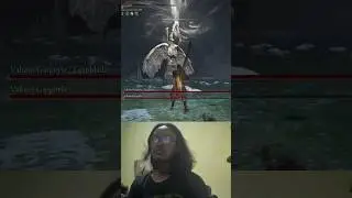 ELDEN RING ALL BOSSES RUN VALIANT DUO #eldenring #fromsoft #darksouls #soulslike #eldenringclips