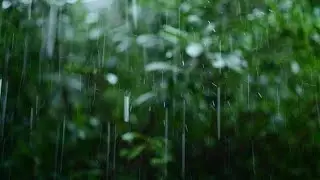 30 Mins of Thunder Storm Audio - Soft Ambience | Meditation | Static Image 🌧️⛈️