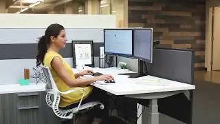 Brazos de monitor Fellowes - Professional Series