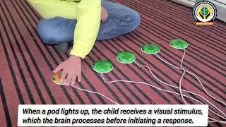 Reaction Pods Therapy Activity at NEURODIVERSE Srinagar 