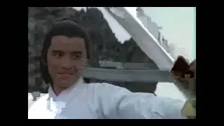 the one armed swordsman
